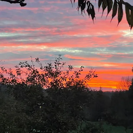 Le Plantier * Beaulieu-sur-Sonnette